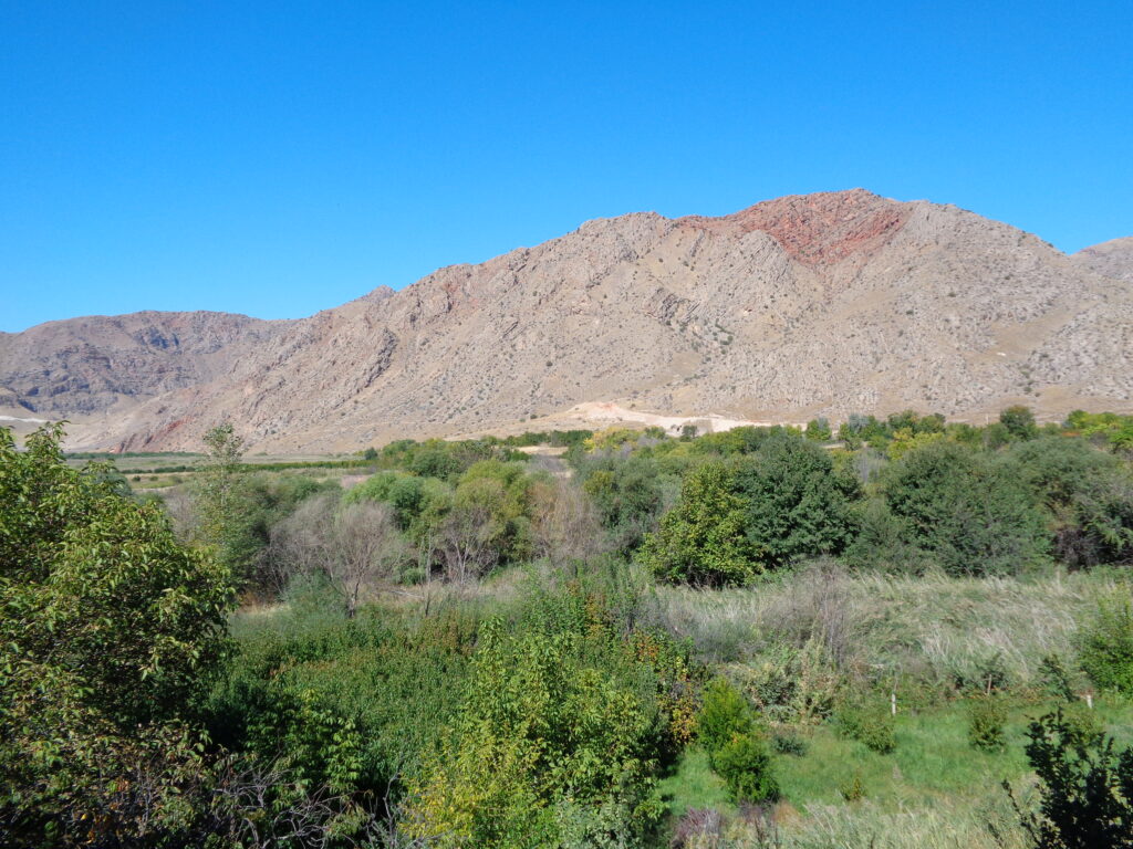 Oorts range habitat of bear and leopard
