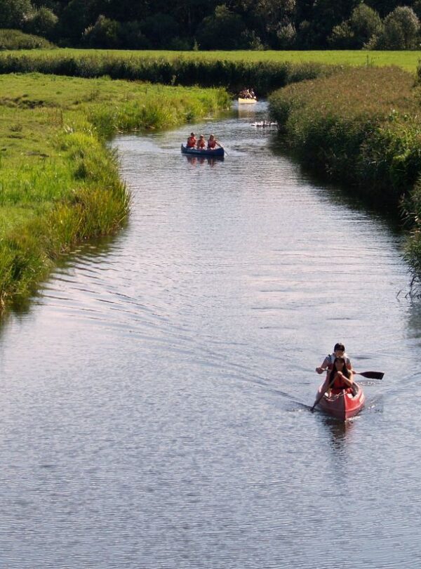 Kanutour in Estland im Soomaa Nationalpark.