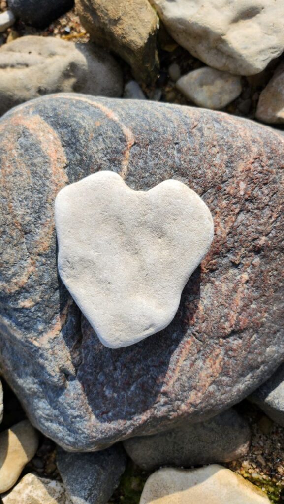 504381680 1229410425652058 3777184550954582640 n