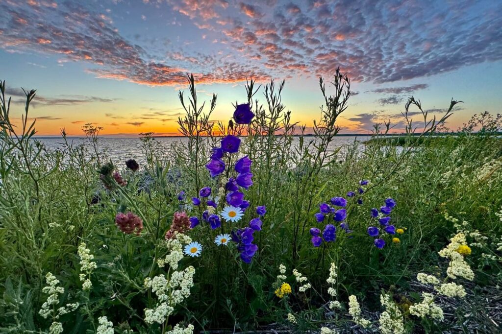 539996205 1266321121960988 7126172437912243033 n