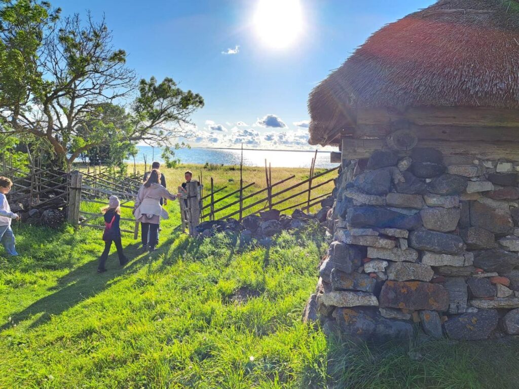 547028977 1276635874262846 229573021080026884 n