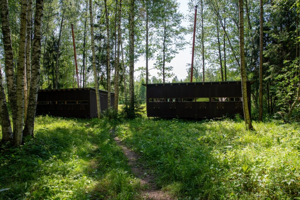 bear watching in europe, estonia alutaguse hides