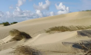 Sanddünen in Nida auf der Kurischen Nehrung in Litauen