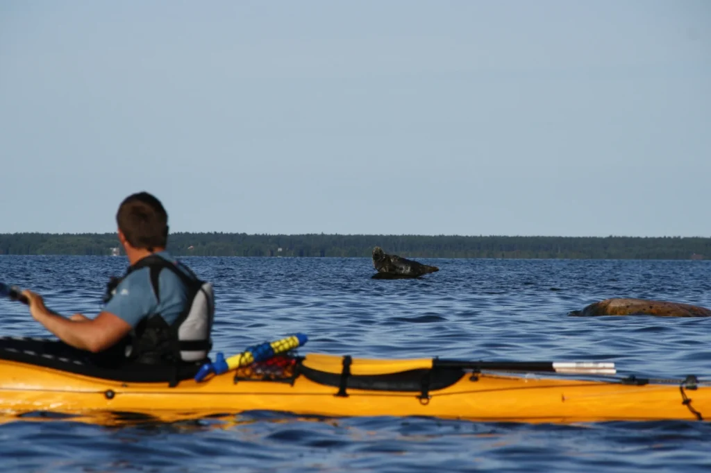 Inselreise in Estland – unberührte Natur, Meer und ruhige Küstenlandschaften entdecken