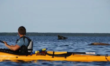 Inselreise in Estland – unberührte Natur, Meer und ruhige Küstenlandschaften entdecken