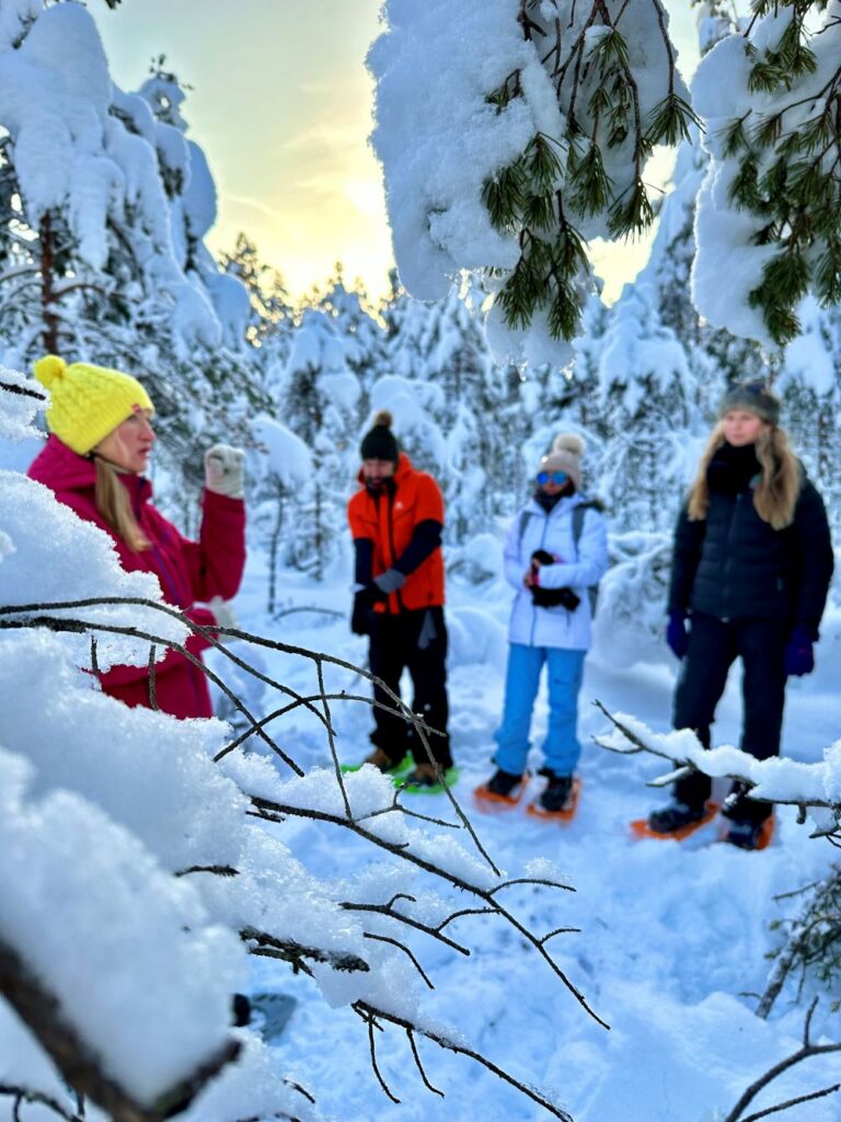 Snow shoeing in Lahemaa National Park