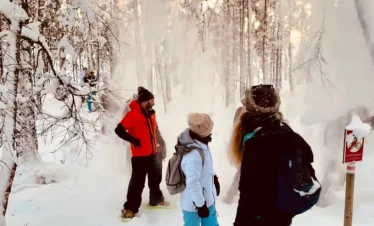 snowy forest hiking estonia winter