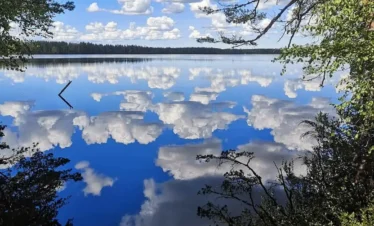 tudu lake estonia nature.jpg