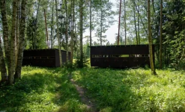 Braunbären-Beobachtung in Europa – Braunbär in Estland in den Alutaguse Beobachtungshütten