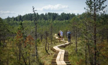 bog hiking in estonia what to do estonia