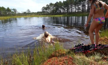 estonia bog swimming lake summer experience