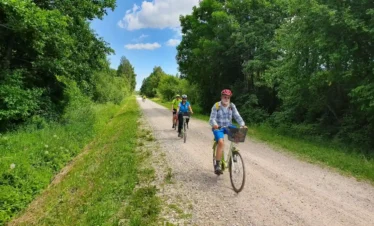 estonia cycling tour nature travel experience