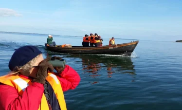 estonia wildlife boat tour birdwatching sea