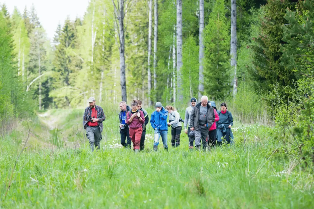 nature connection hiking baltics experience